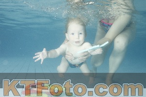 Foto 4225712