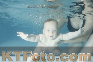 Photo 4225717