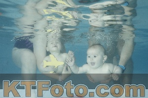 Photo 4225719