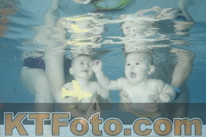 Photo 4225720