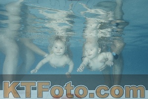 Photo 4225721