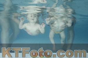 Photo 4225724