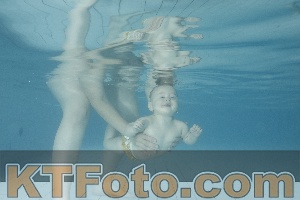 Photo 4225725