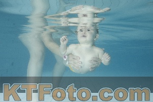 Foto 4225728