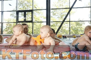 Foto 4225732