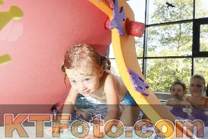Foto 4225829