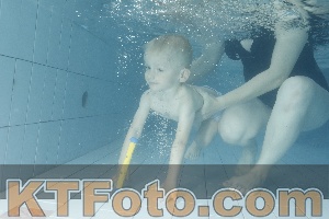 Foto 4225940