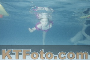 Photo 4226064