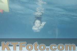 Photo 4226080