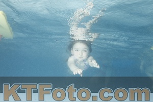 Photo 4226082