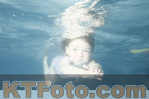 Photo 4226084