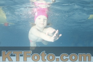 Photo 4226088