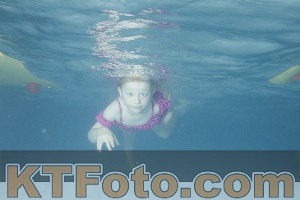 Photo 4226099