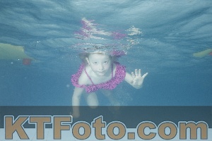Photo 4226100