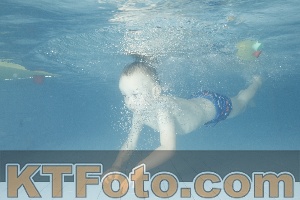 Photo 4226101