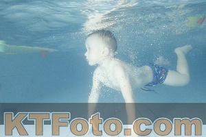 Photo 4226102