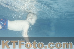 Photo 4226103