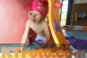 Photo 4226168