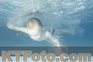 Photo 4226178