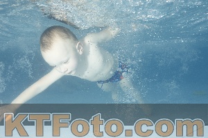 Photo 4226179