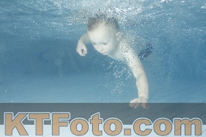 Photo 4226194