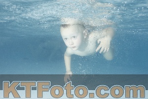 Photo 4226195