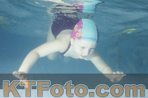 Photo 4226248