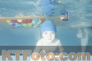 Foto 4226277