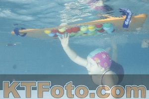 Photo 4226292