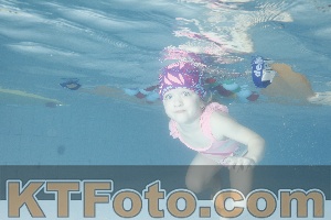 Photo 4226296