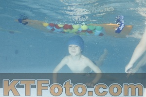 Photo 4226298