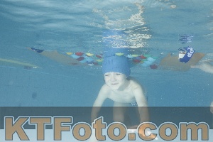 Photo 4226300