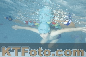 Foto 4226307