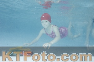 Photo 4226390