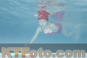 Foto 4226392