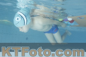 Photo 4226416