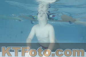 Photo 4226425