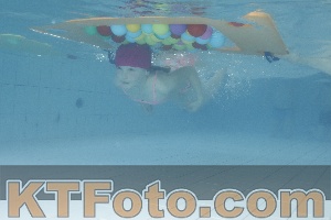 Photo 4226433