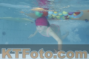 Photo 4226435