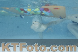 Photo 4226439