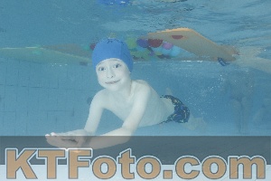 Photo 4226442
