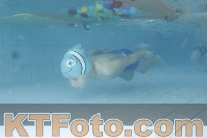 Photo 4226443