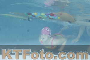 Photo 4226446
