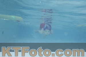 Photo 4226460