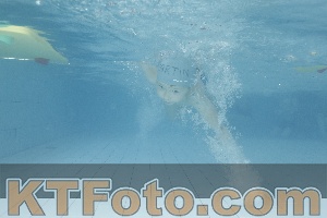 Photo 4226464