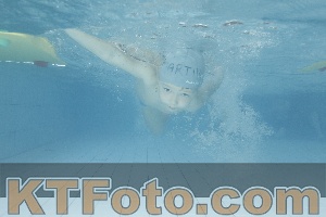Photo 4226465