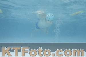 Photo 4226472