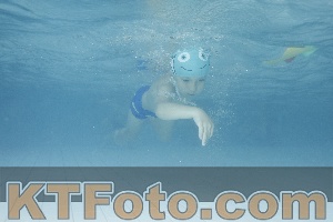 Photo 4226473