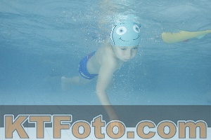Photo 4226474