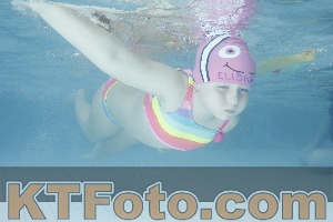 Photo 4226480
